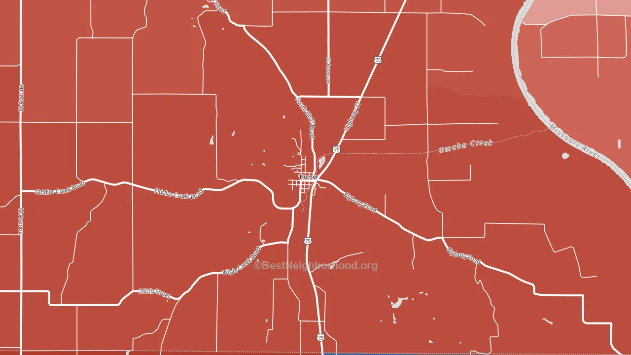 Homer, NE block-group political-lean map