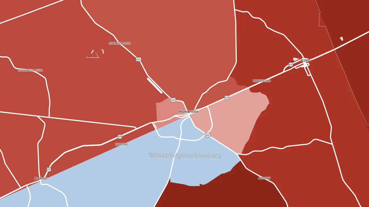 Homerville, GA block-group political-lean map