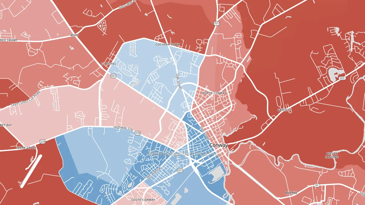 Homewood, SC block-group political-lean map