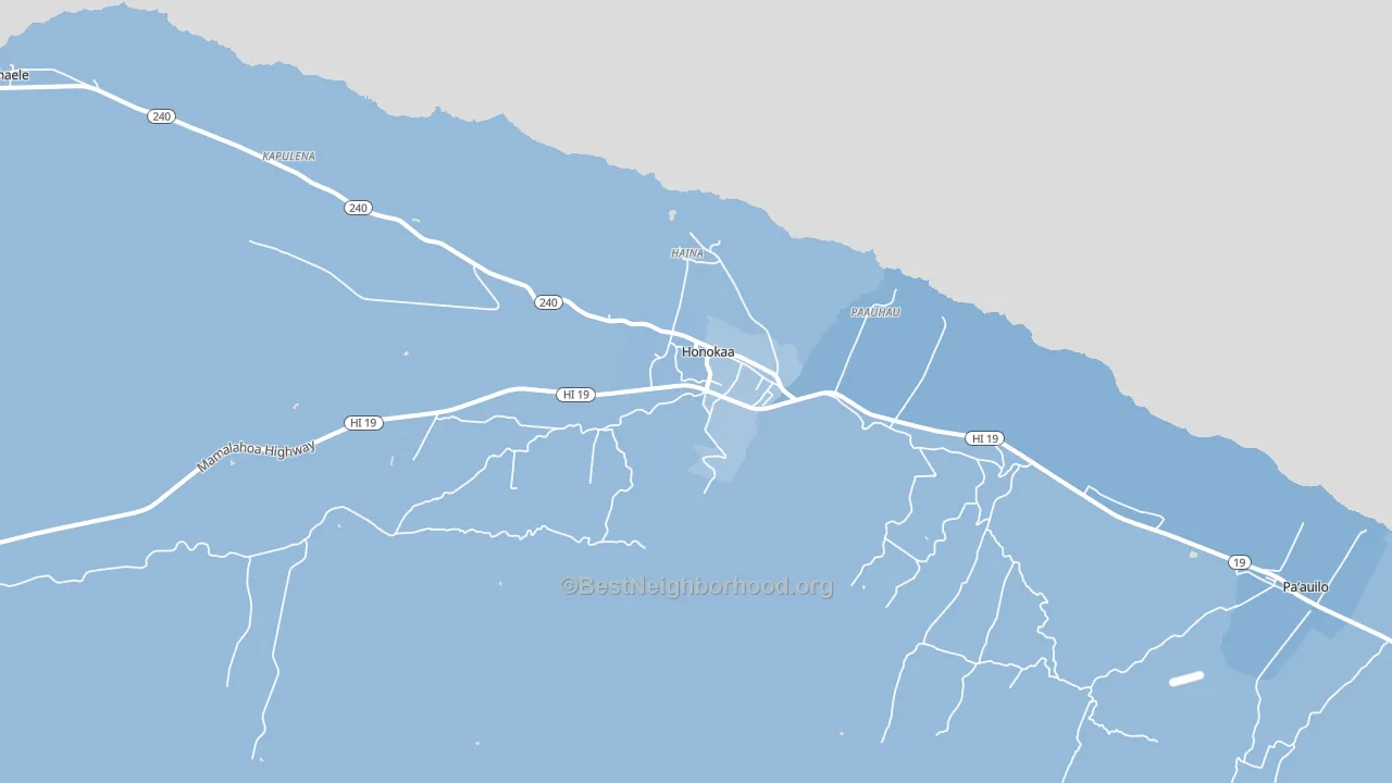 Honokaa, HI block-group political-lean map
