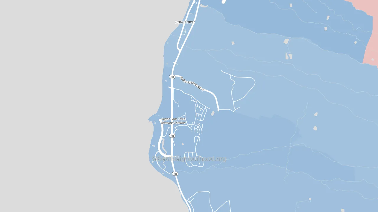 Honokowai, HI block-group political-lean map