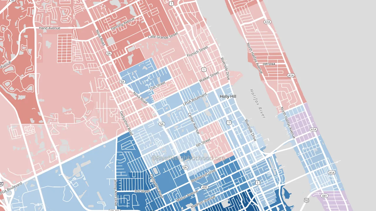Hopkins Fitch Grant, Holly Hill, FL block-group political-lean map