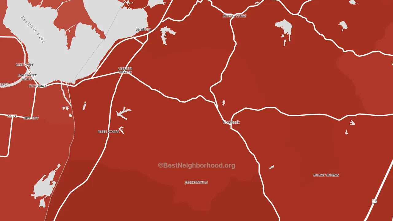 Hornbeak, TN block-group political-lean map
