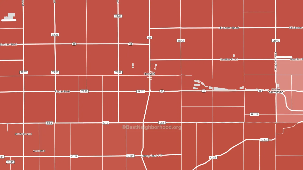 Hoytville, OH block-group political-lean map