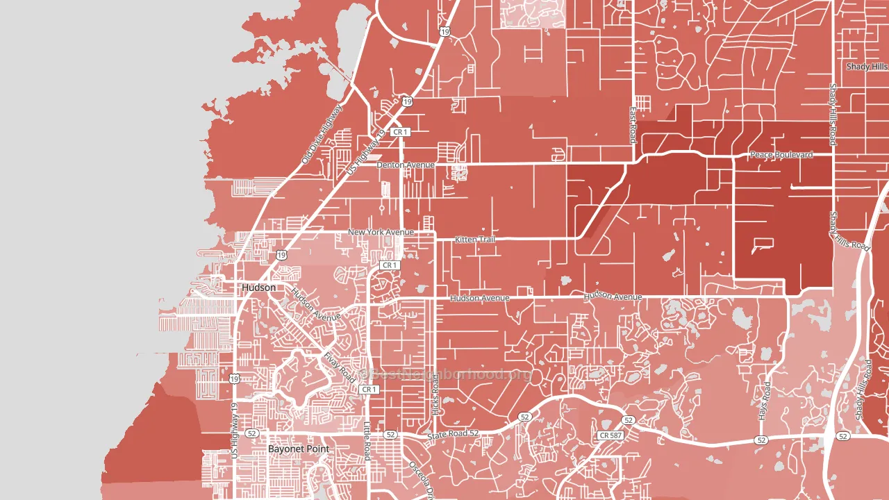 Hudson, FL block-group political-lean map