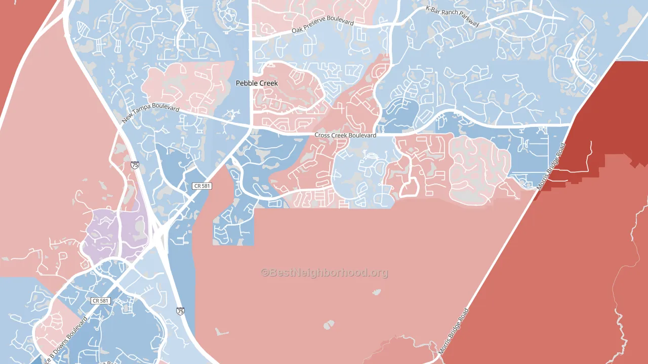 Hunters Green, Tampa, FL block-group political-lean map