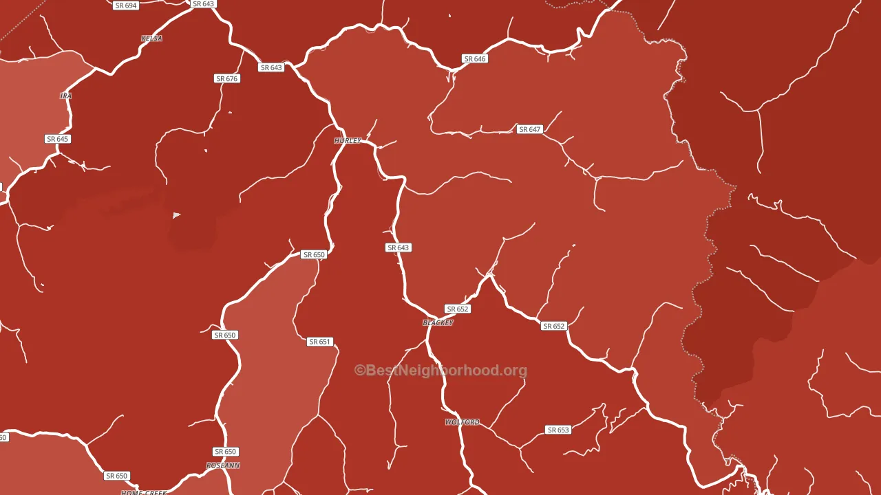 Hurley, VA block-group political-lean map