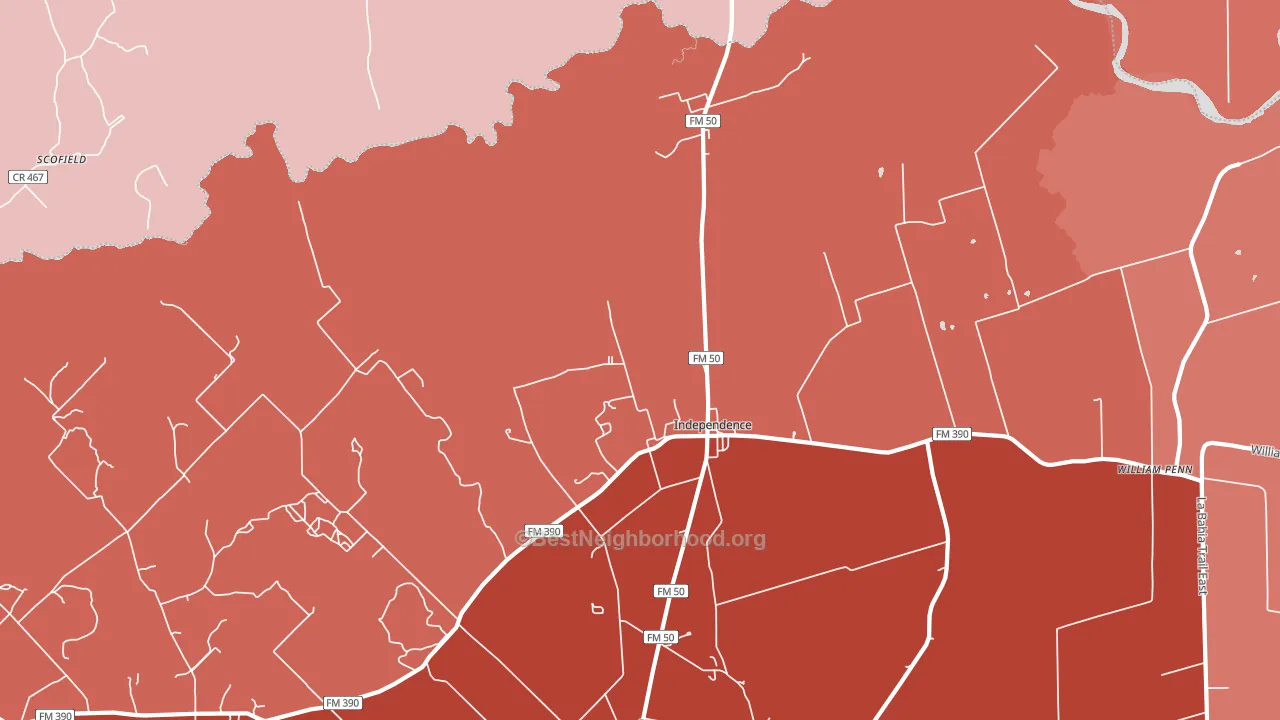 Independence, TX block-group political-lean map