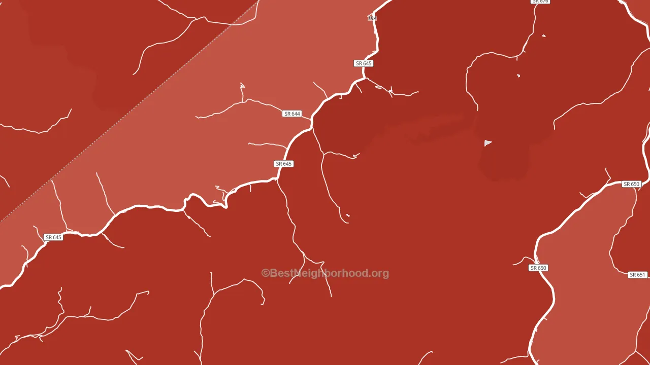 Ira, VA block-group political-lean map