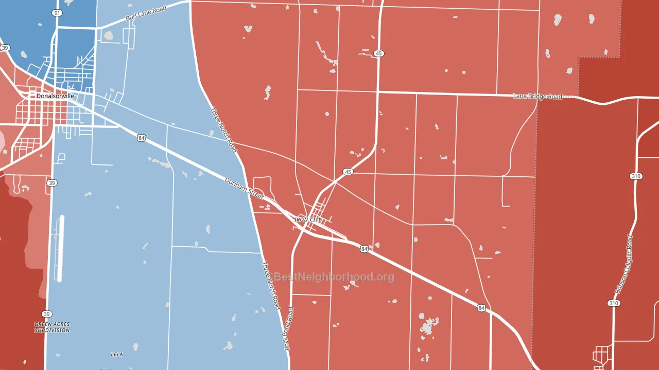 Iron City, GA block-group political-lean map