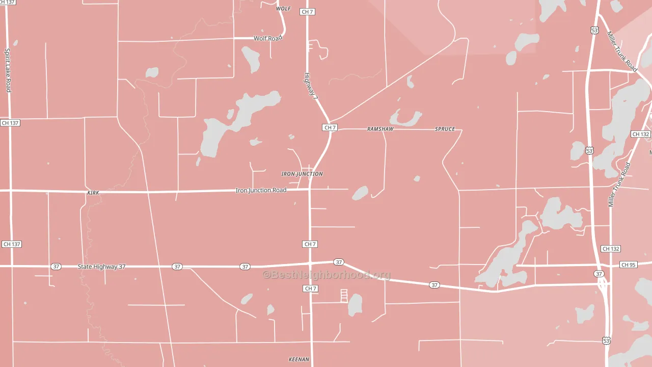 Iron Junction, MN block-group political-lean map