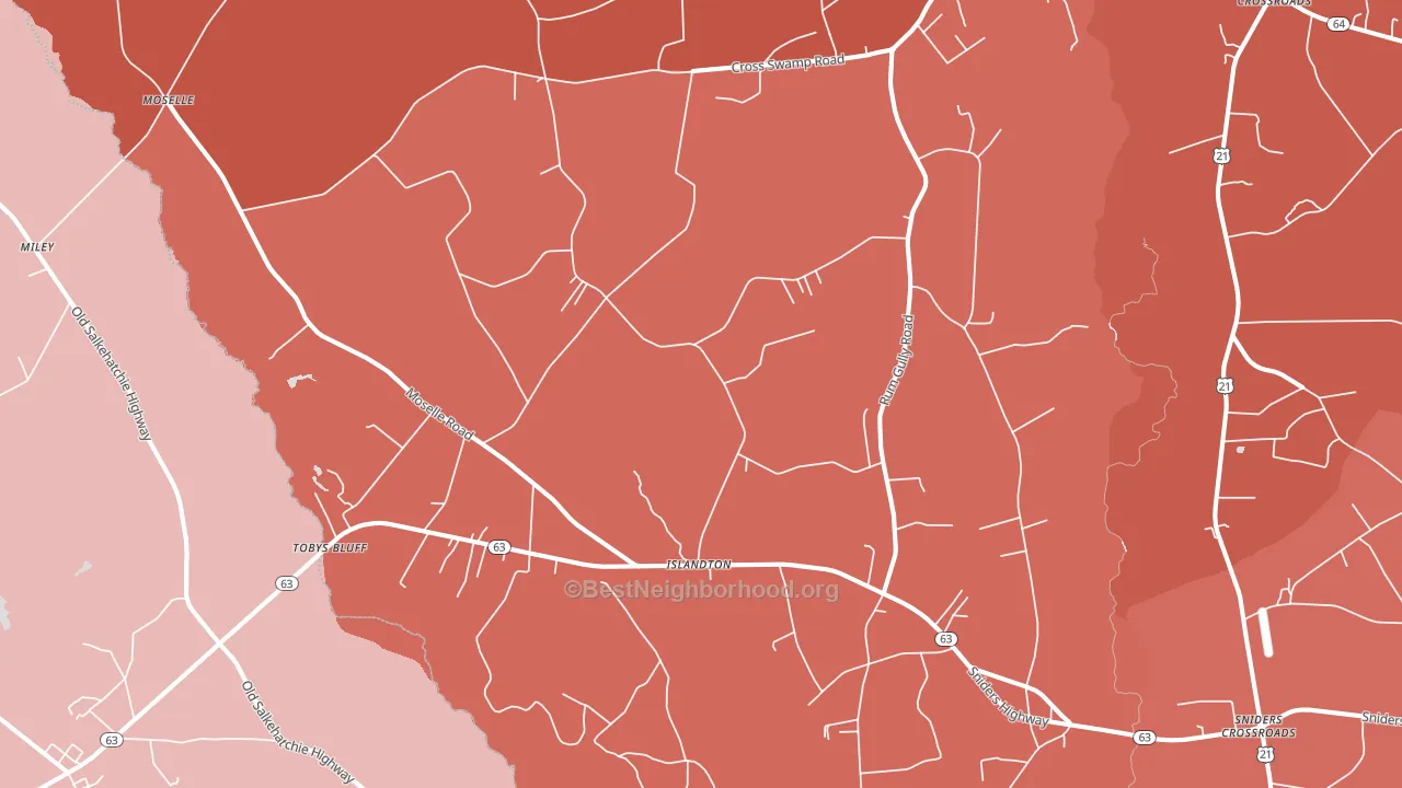 Islandton, SC block-group political-lean map