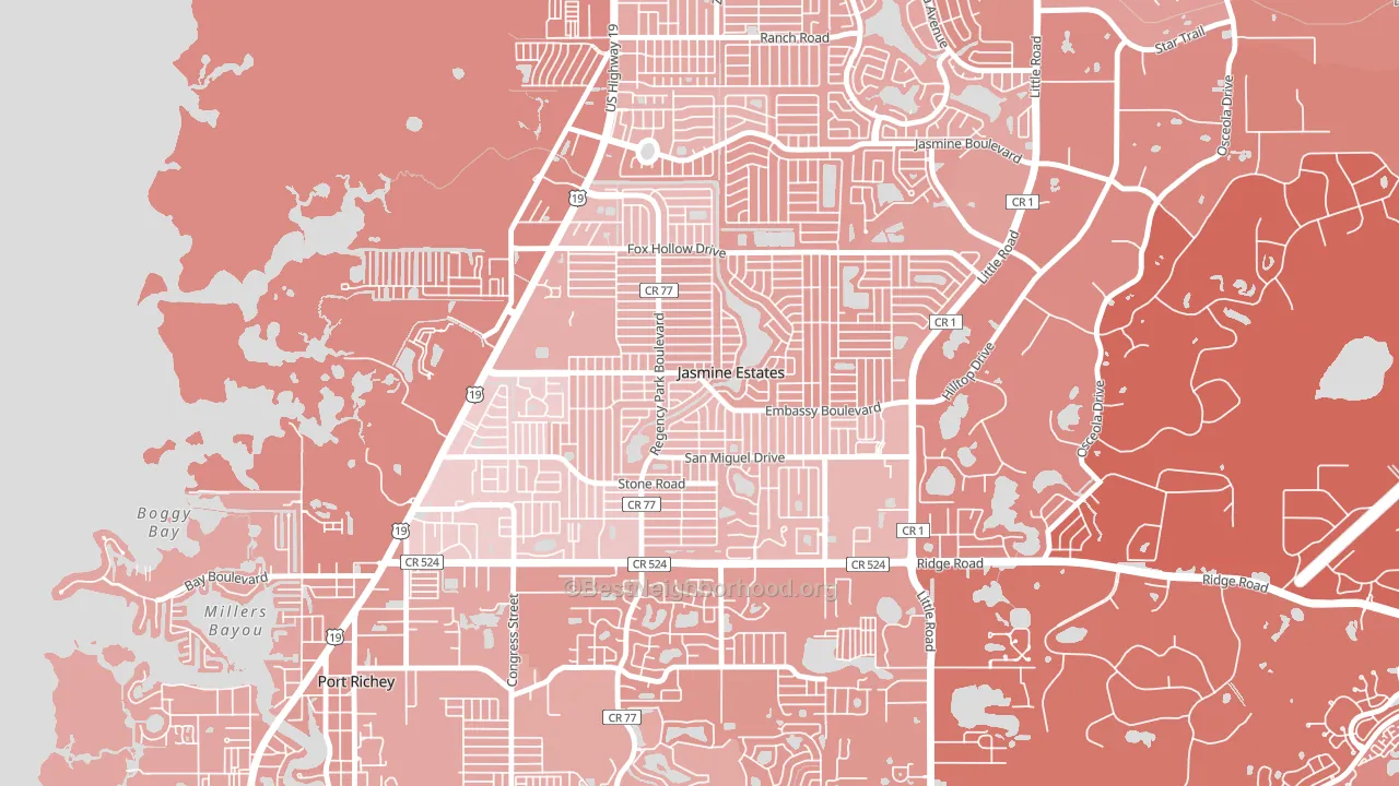 Jasmine Estates, FL block-group political-lean map