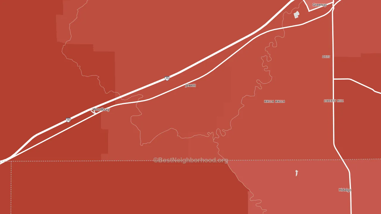 Jewett, IL block-group political-lean map