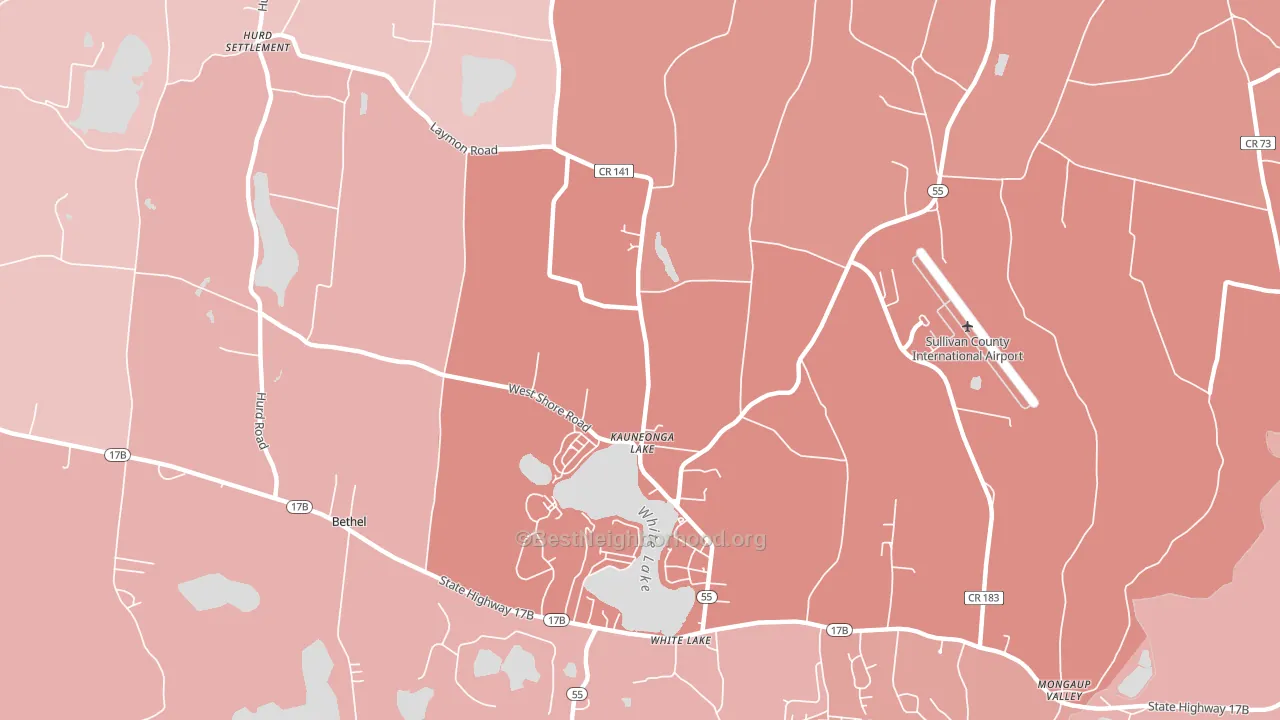 Kauneonga Lake, NY block-group political-lean map