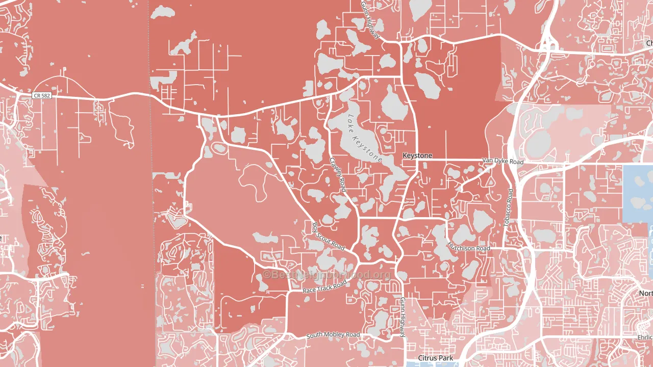 Keystone, FL block-group political-lean map