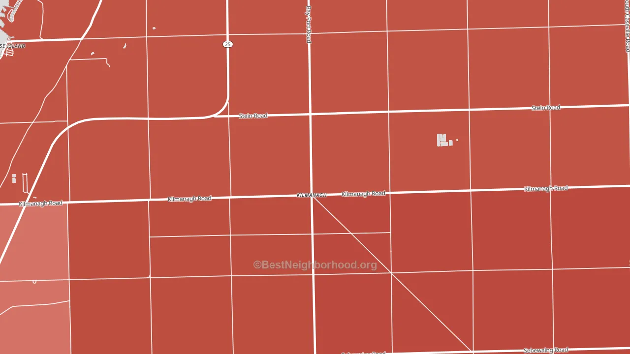 Kilmanagh, MI block-group political-lean map