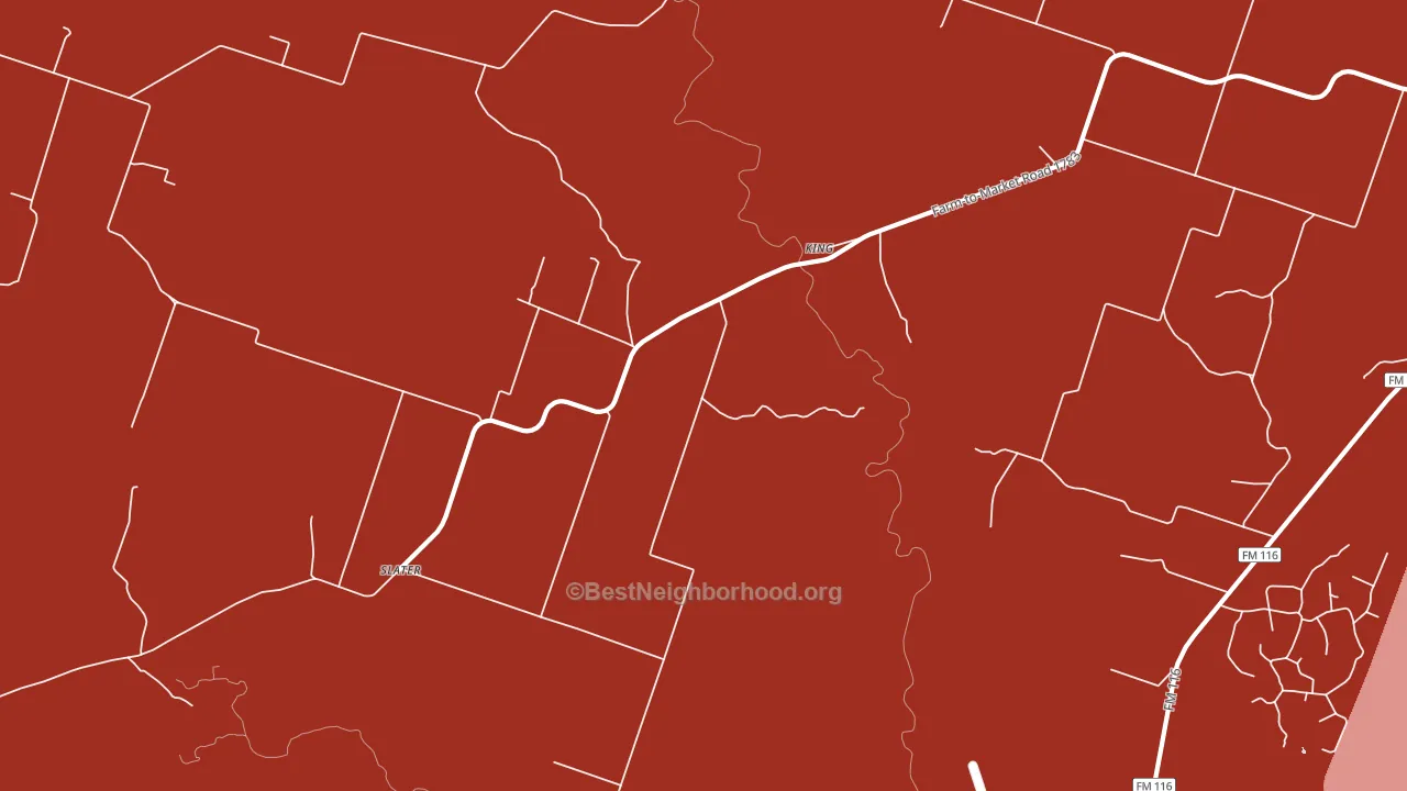 King, TX block-group political-lean map