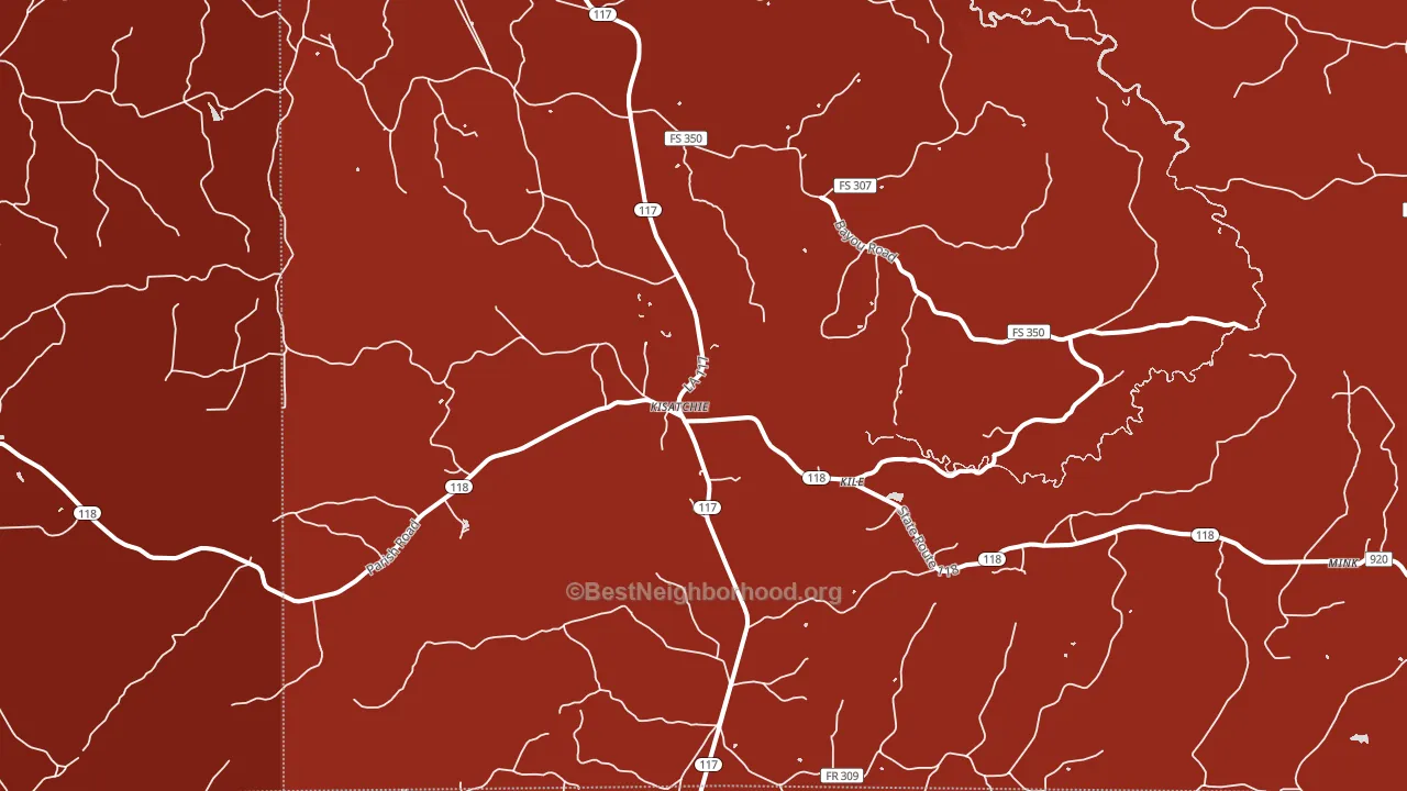 Kisatchie, LA block-group political-lean map