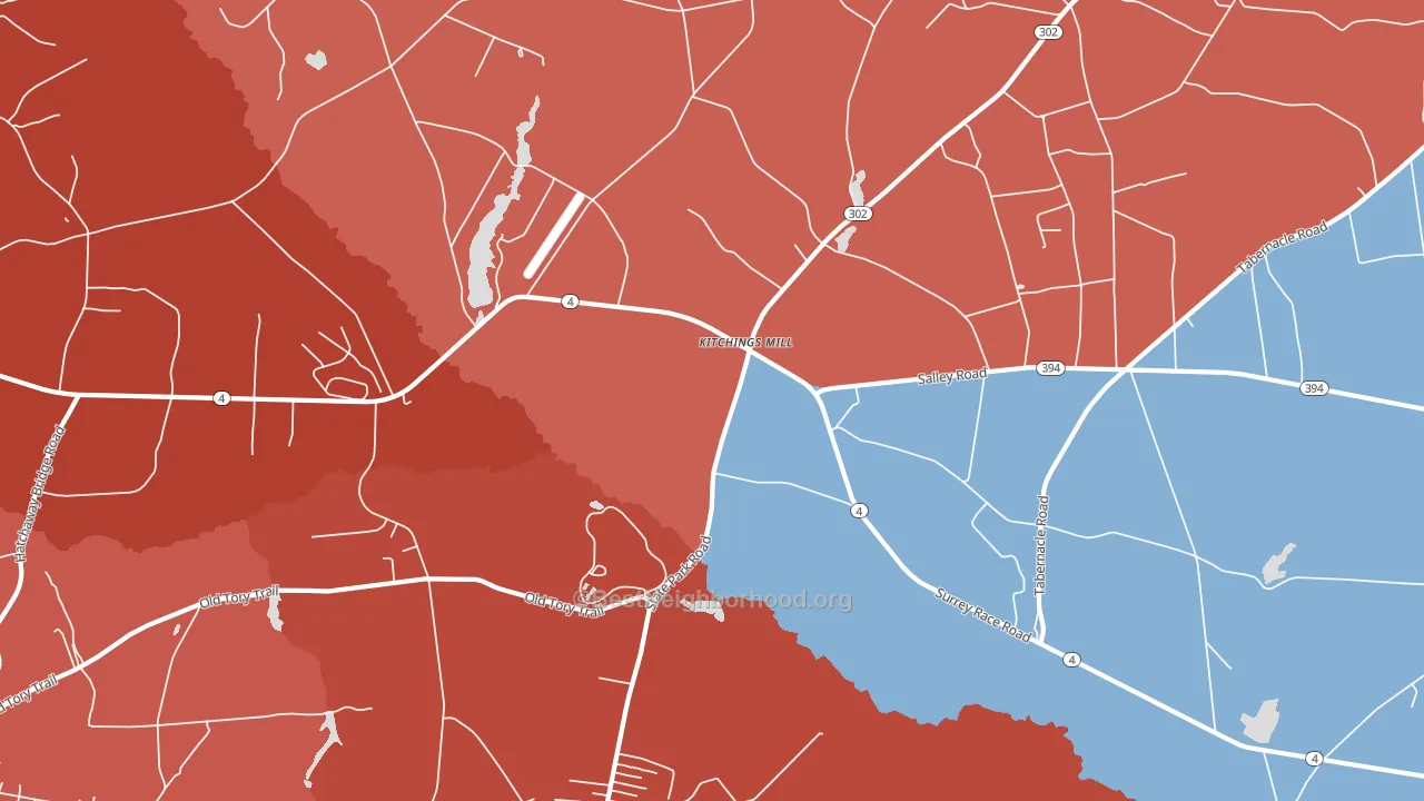 Kitchings Mill, SC block-group political-lean map