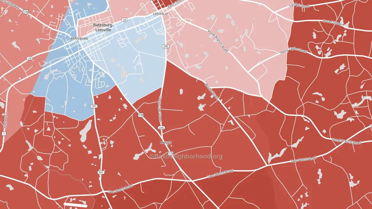 Kneece, SC block-group political-lean map