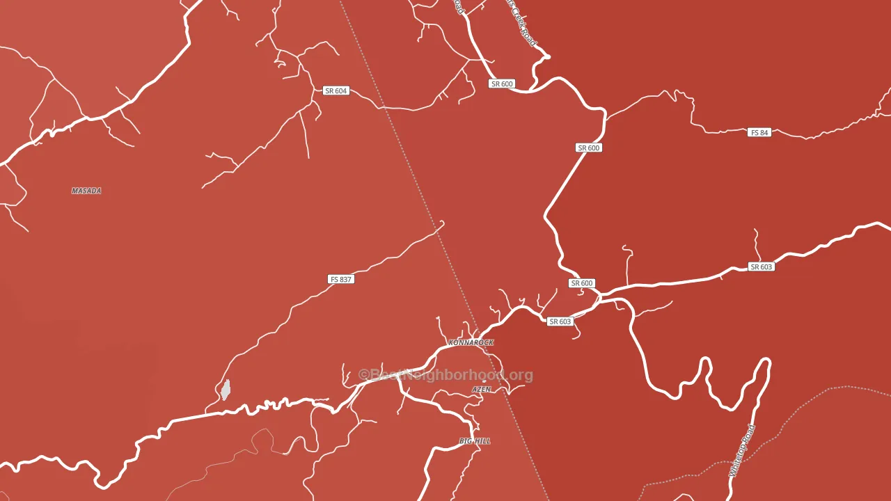 Konnarock, VA block-group political-lean map