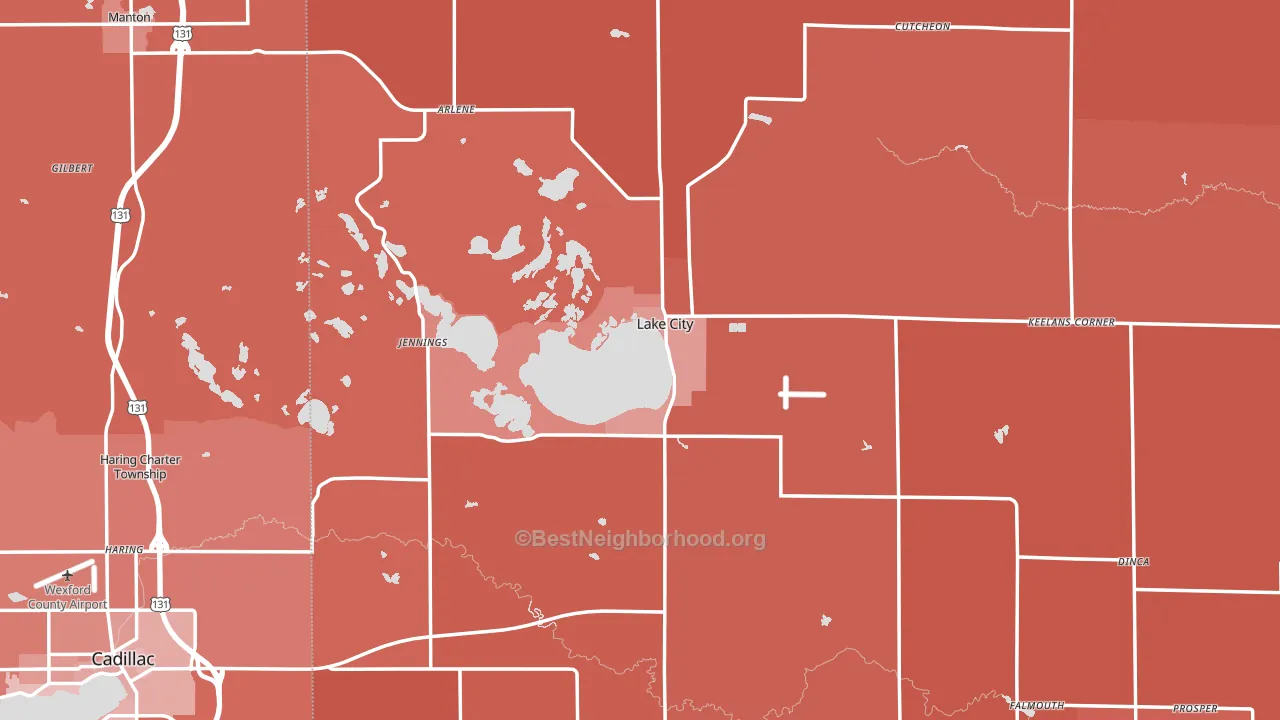 Lake City, MI block-group political-lean map