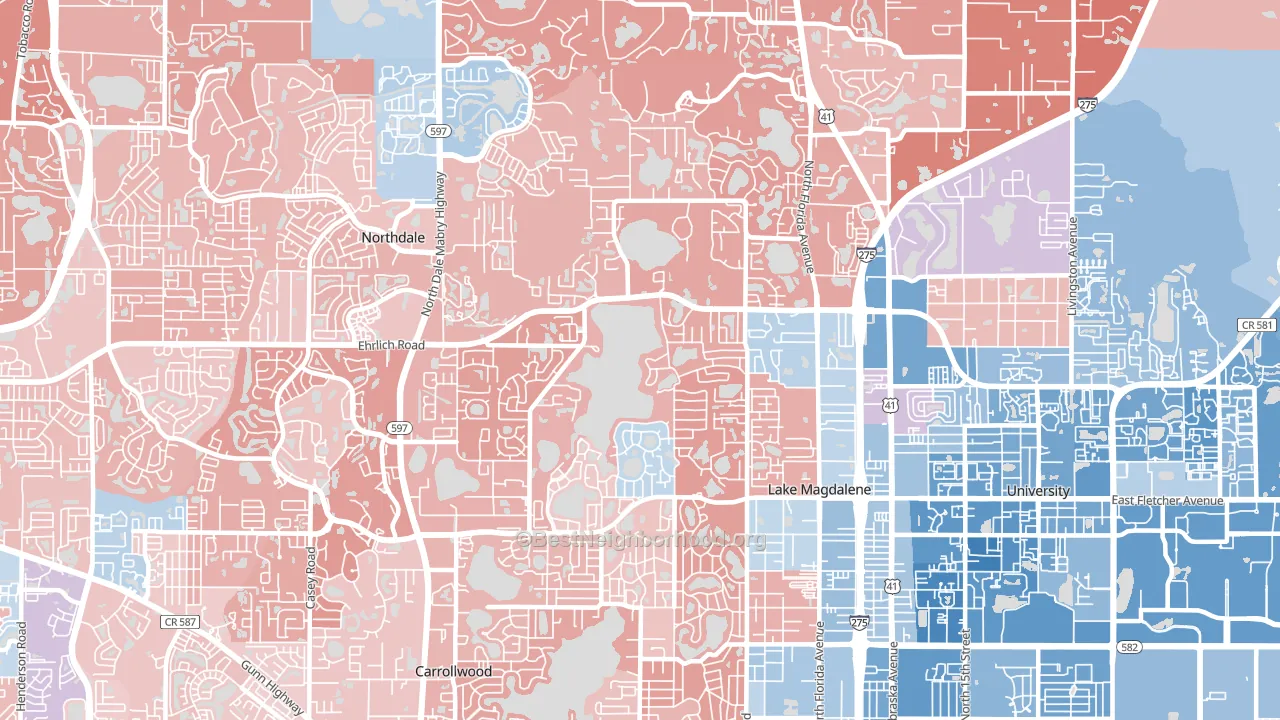 Lake Magdalene, FL block-group political-lean map