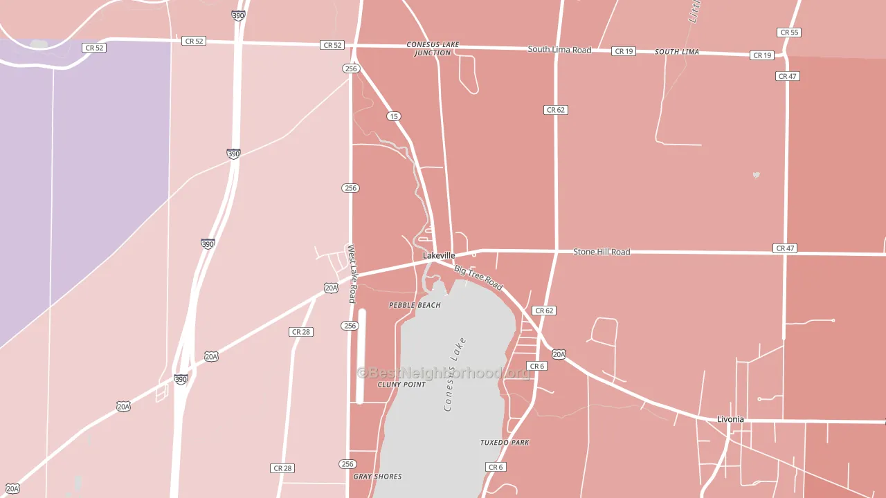 Lakeville, NY block-group political-lean map