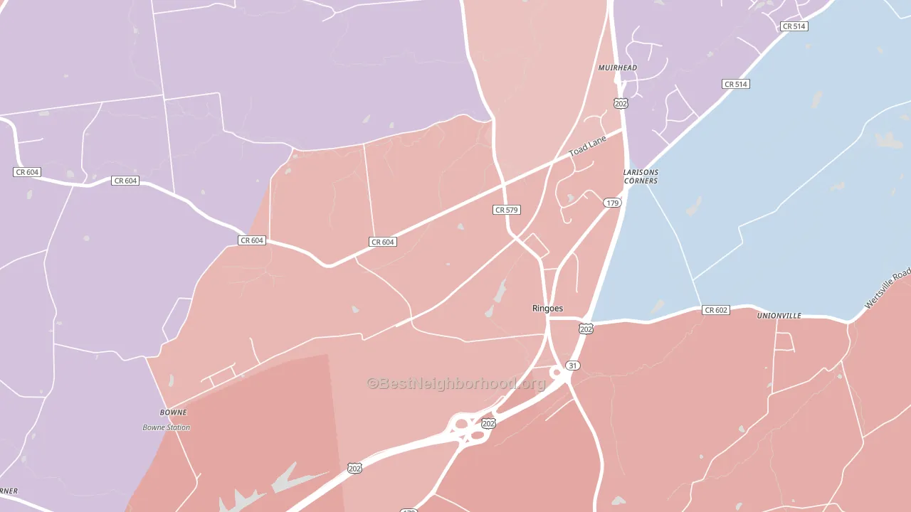 Larisons Corner, NJ block-group political-lean map