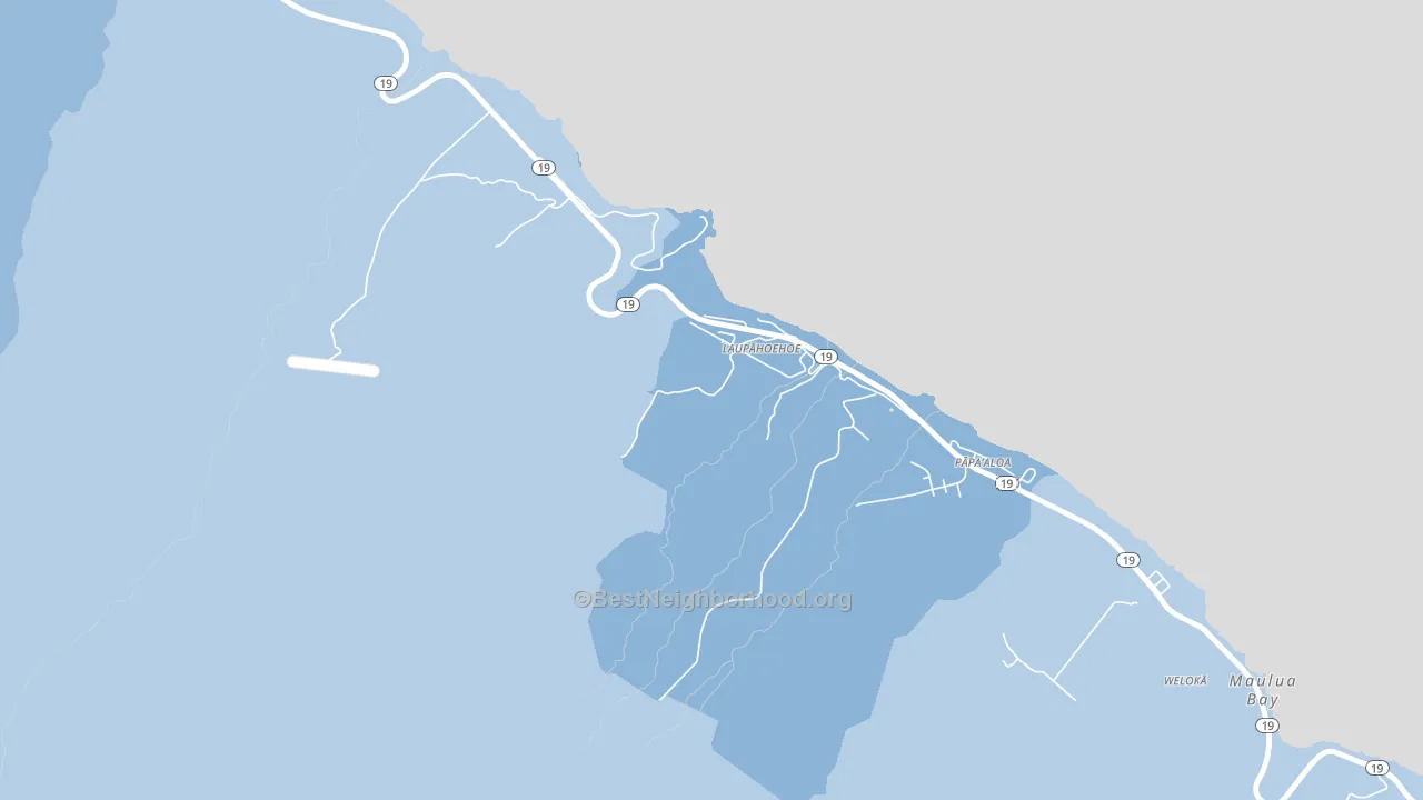 Laupahoehoe, HI block-group political-lean map