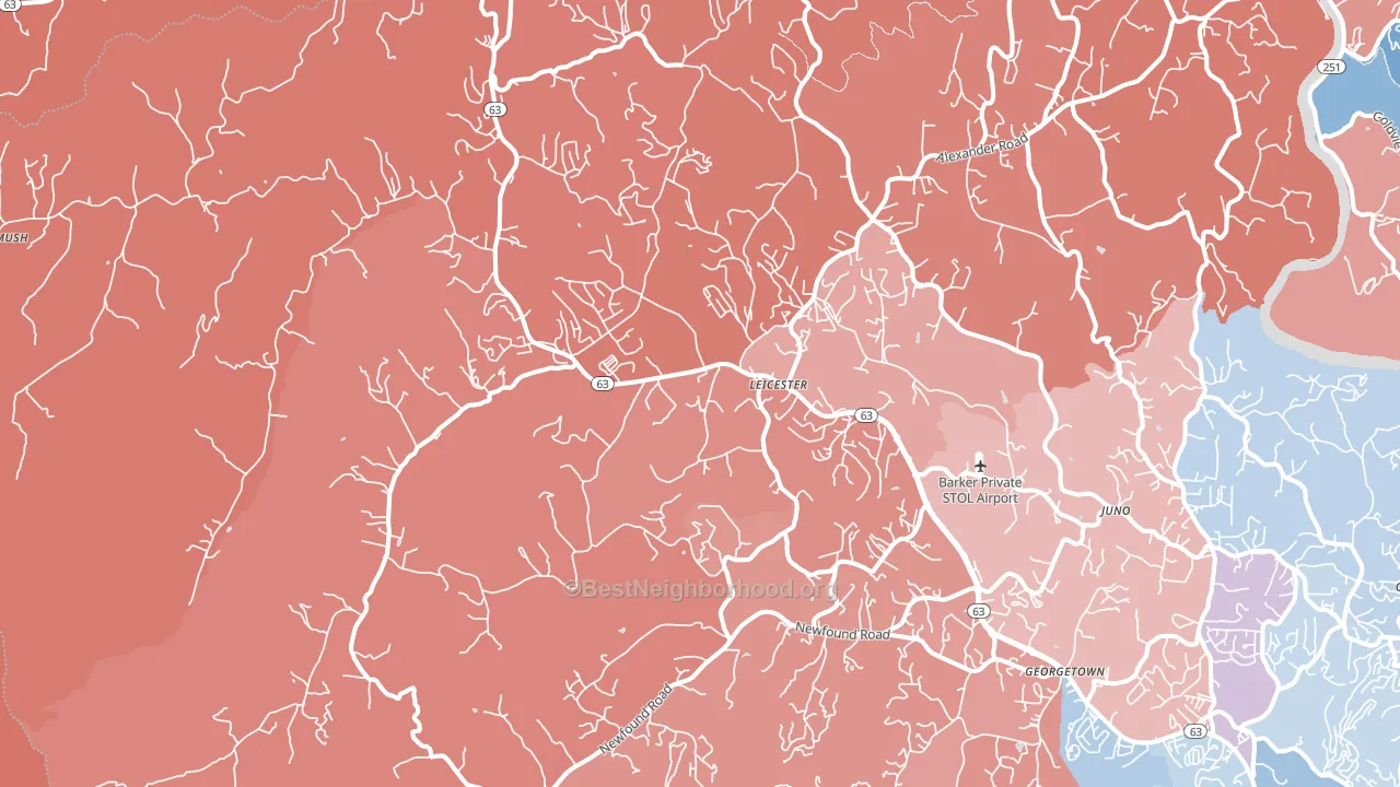Leicester, NC block-group political-lean map