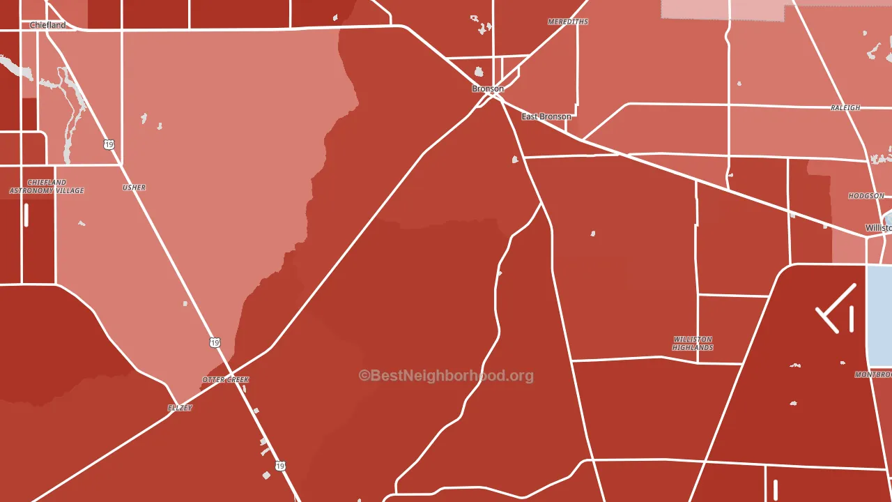 Levy County, FL block-group political-lean map
