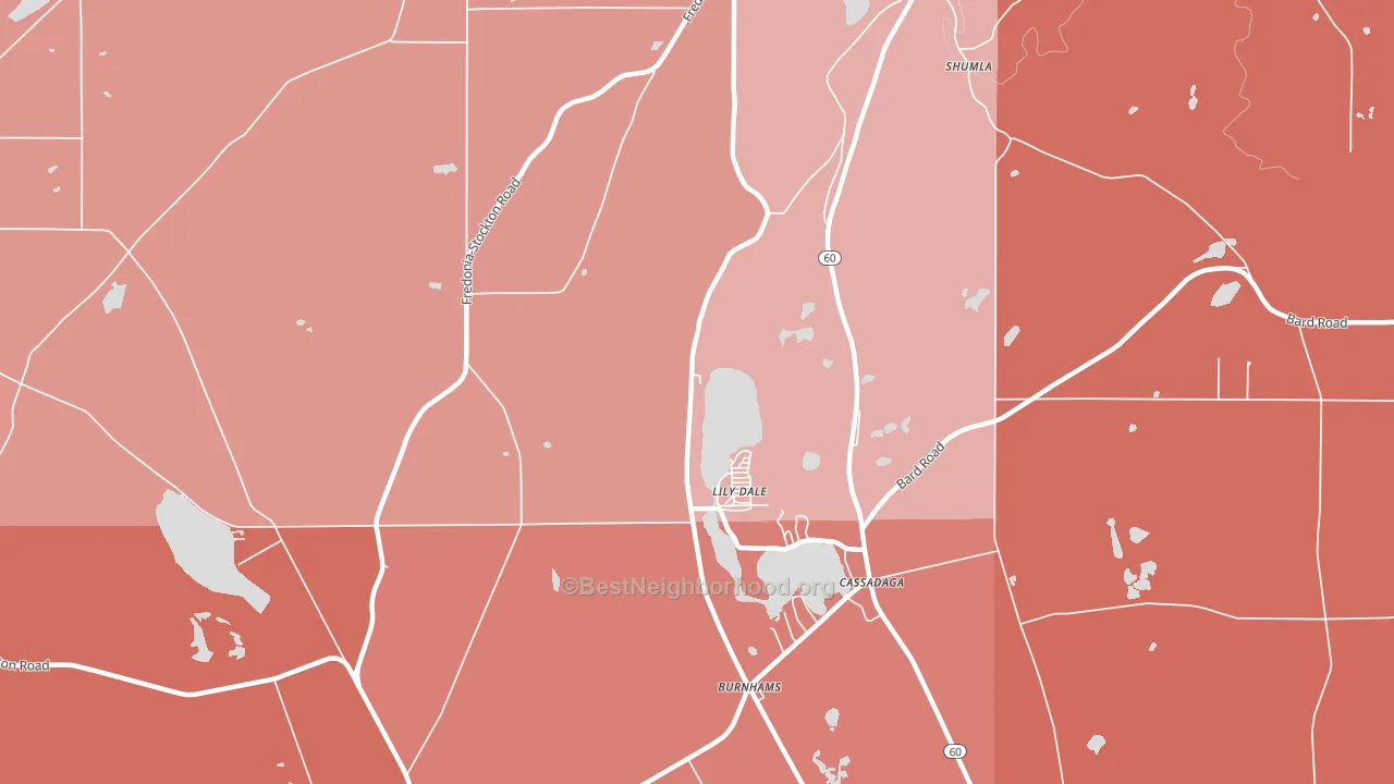 Lily Dale, NY block-group political-lean map