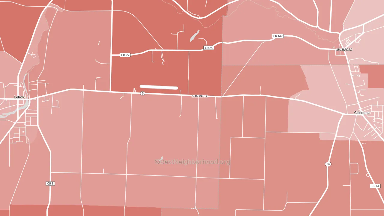 Limerock, NY block-group political-lean map