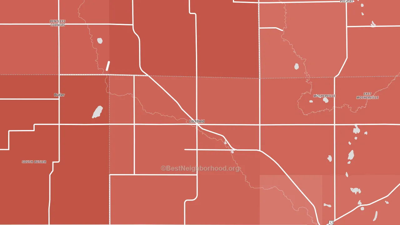 Litchfield, MI block-group political-lean map