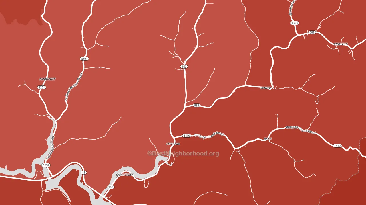 Littcarr, KY block-group political-lean map