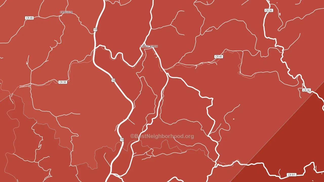 Little Birch, WV block-group political-lean map