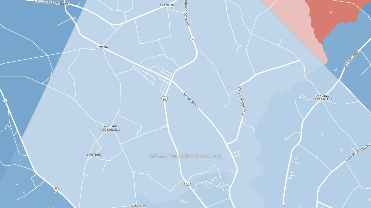 Little Rock, SC block-group political-lean map