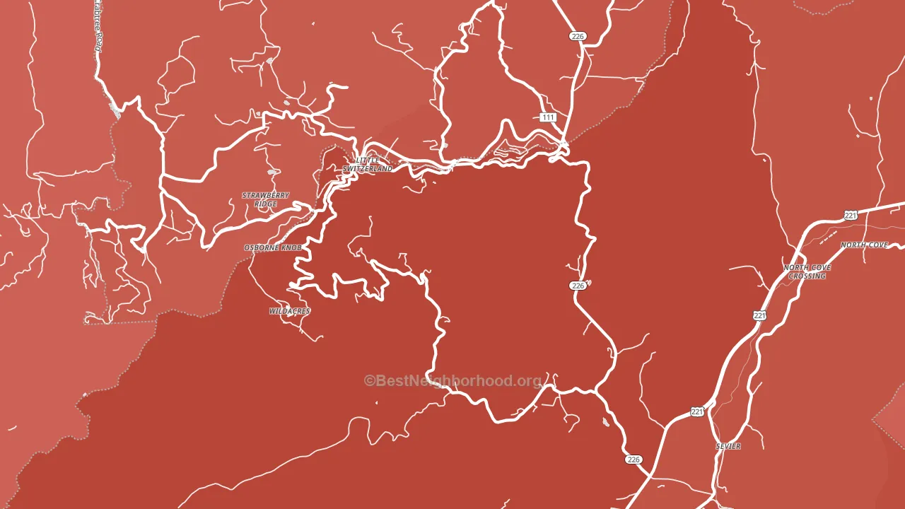Little Switzerland, NC block-group political-lean map