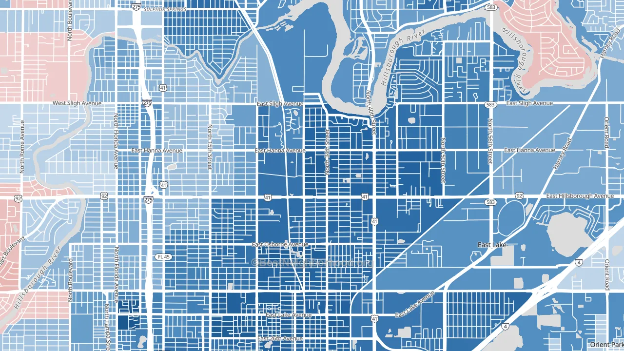 Live Oaks Square, Tampa, FL block-group political-lean map