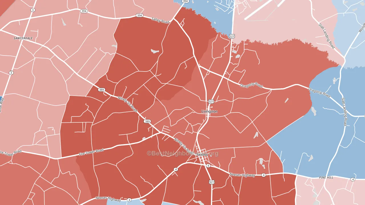Livingston, SC block-group political-lean map