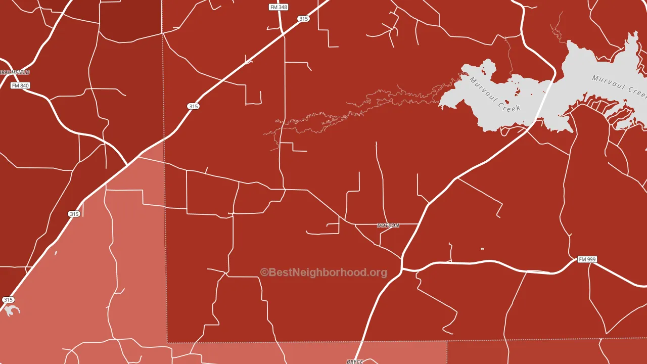 Long Branch, TX block-group political-lean map