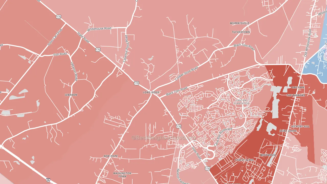 Long Ridge, SC block-group political-lean map