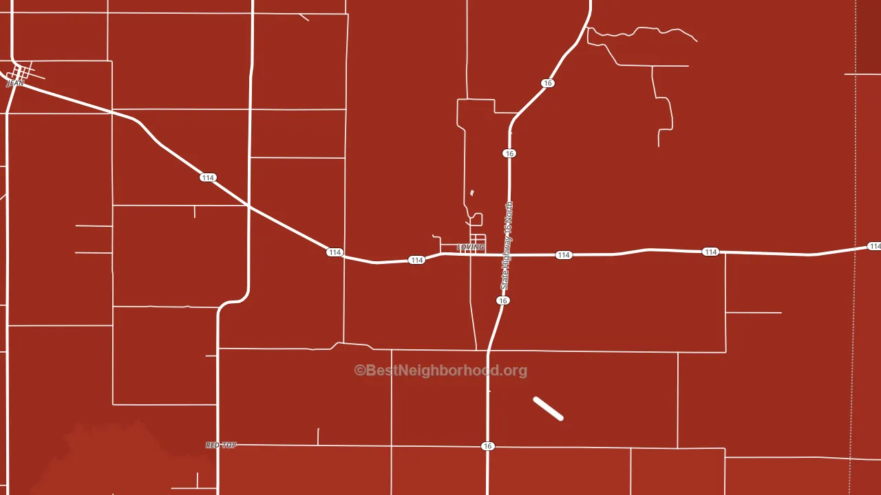 Loving, TX block-group political-lean map