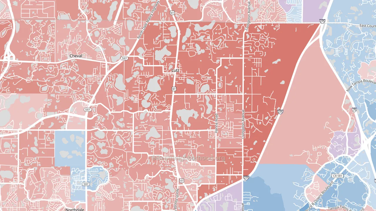 Lutz, FL block-group political-lean map