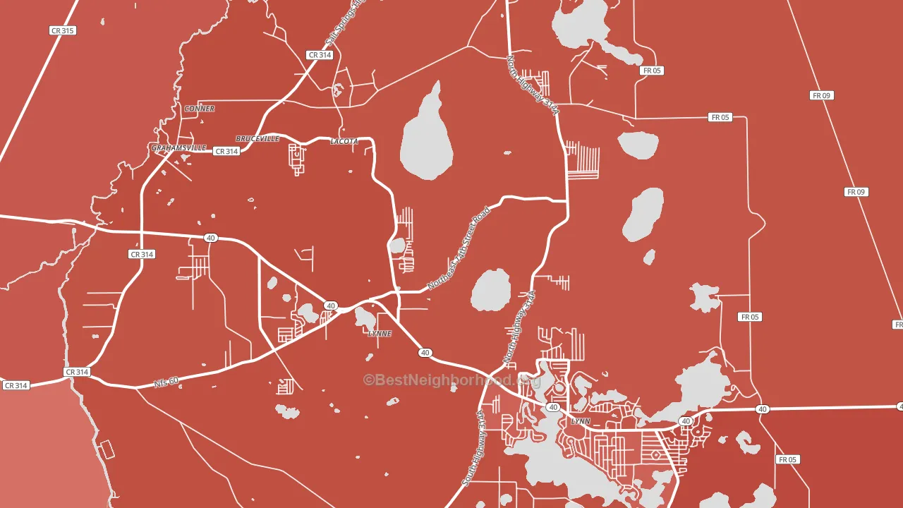 Lynne, FL block-group political-lean map