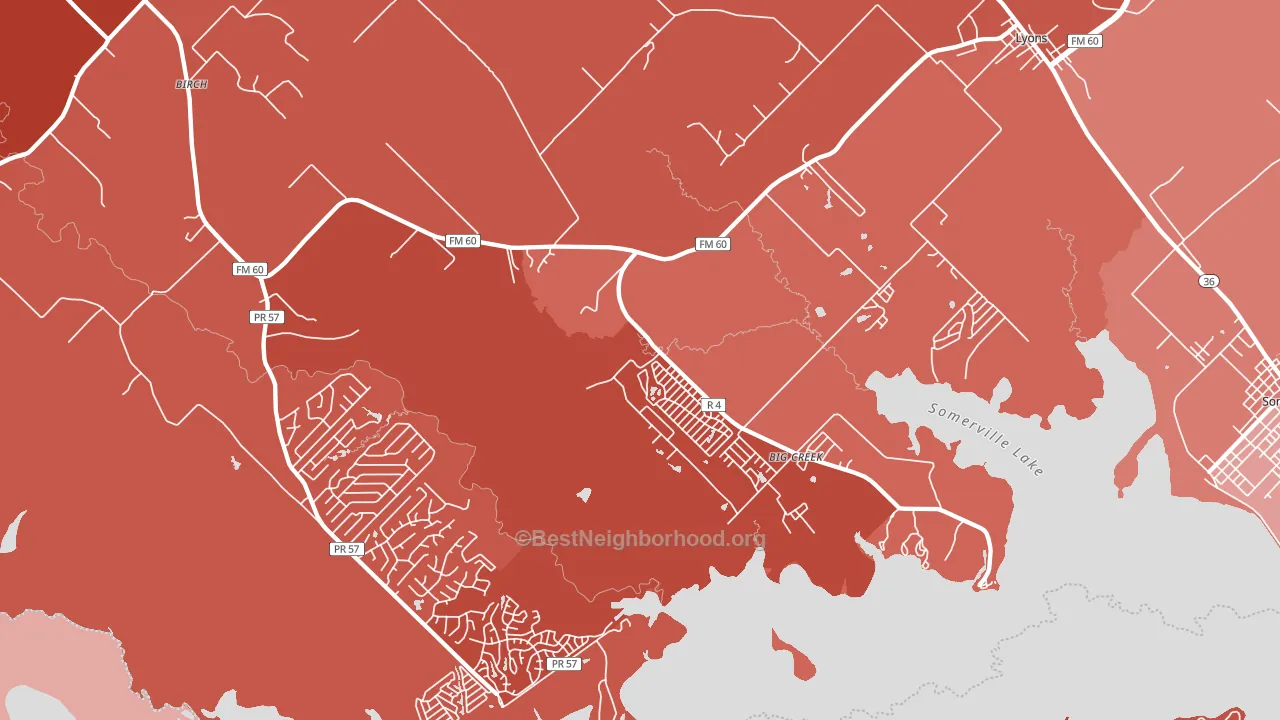 Lyons, TX block-group political-lean map