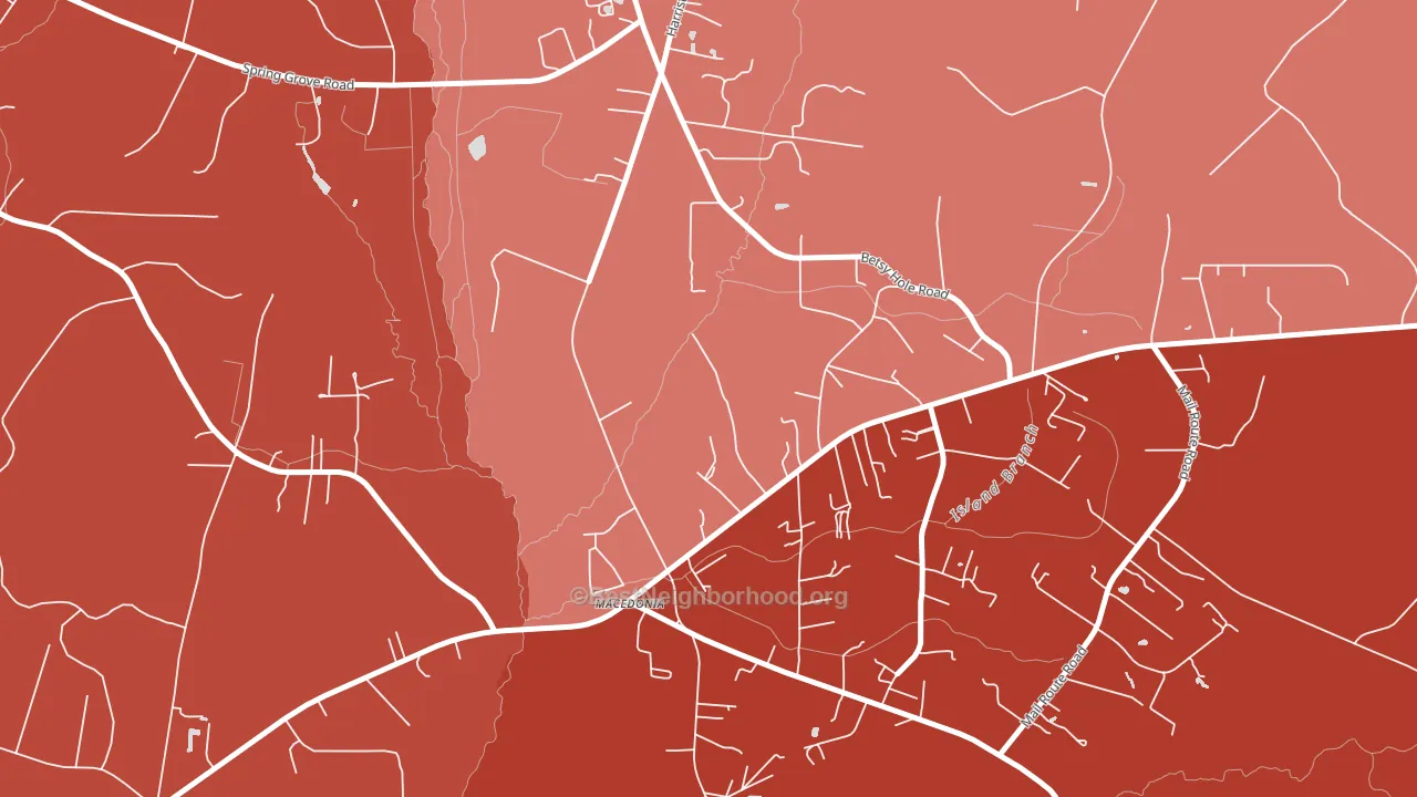 Macbeth, SC block-group political-lean map