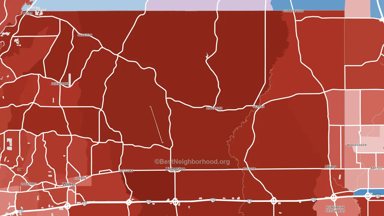 Magnolia, LA block-group political-lean map